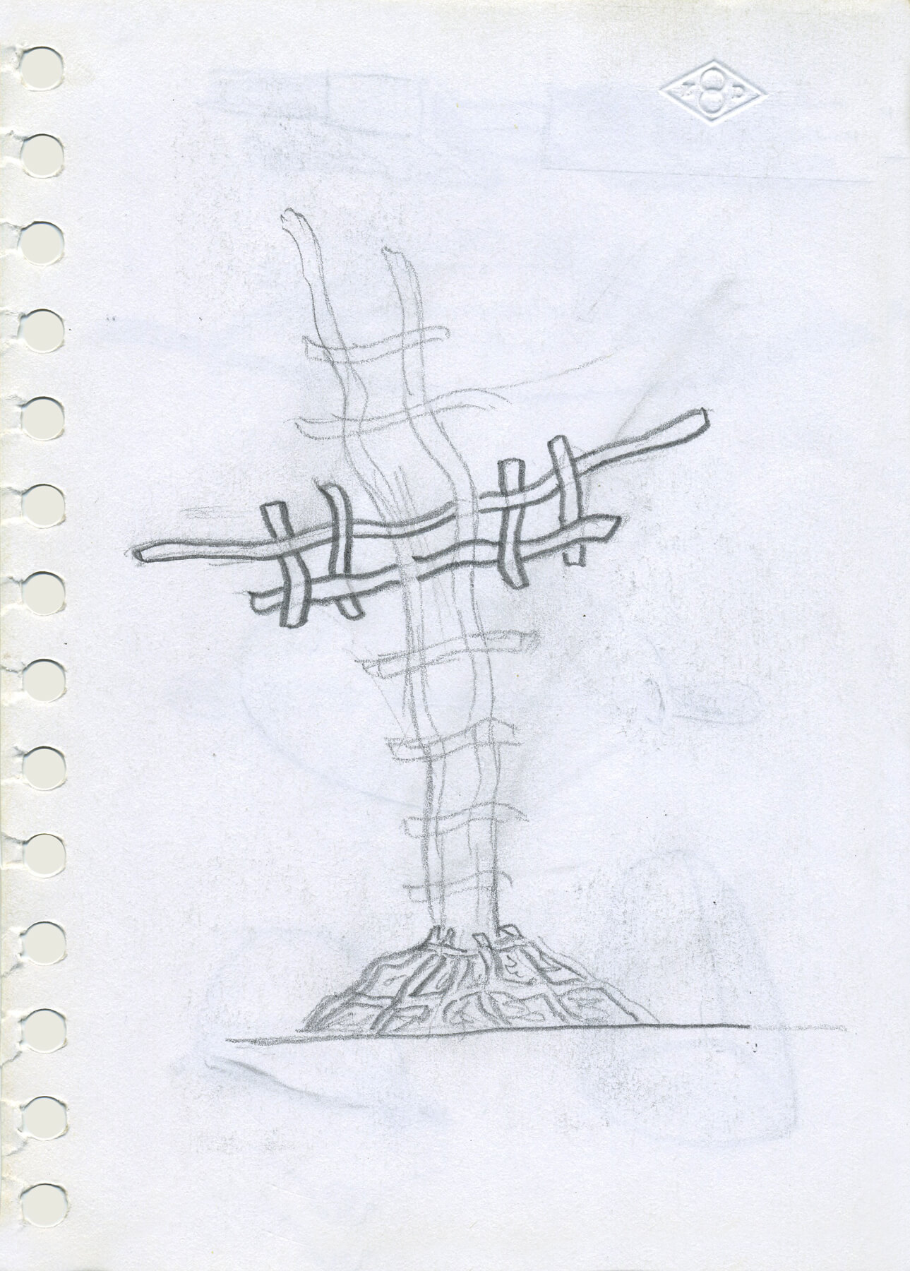daraspe-7